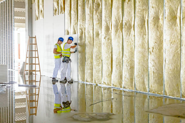 Best Insulation Removal  in Thornville, OH